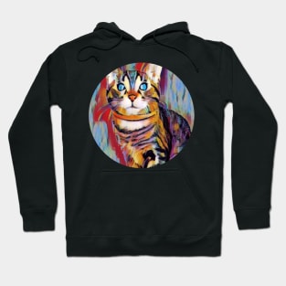 Agile floppy cat Hoodie